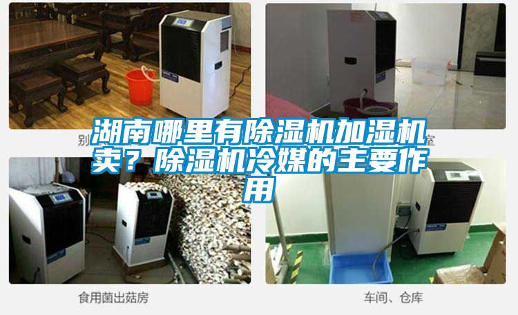 湖南哪里有除濕機加濕機賣？除濕機冷媒的主要作用