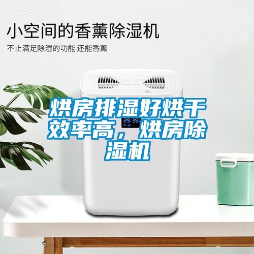 烘房排濕好烘干效率高，烘房除濕機(jī)