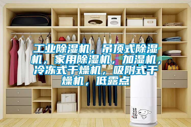 工業(yè)除濕機，吊頂式除濕機，家用除濕機，加濕機，冷凍式干燥機，吸附式干燥機，低露點