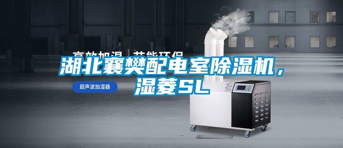 湖北襄樊配電室除濕機，濕菱SL