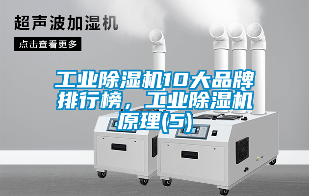 工業(yè)除濕機10大品牌排行榜，工業(yè)除濕機原理(5)