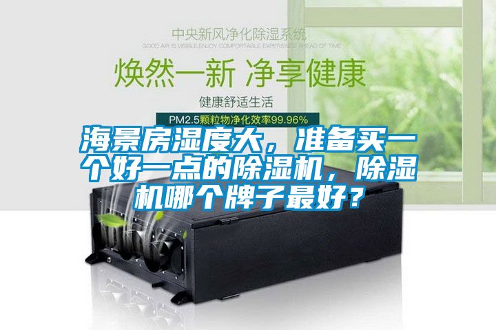 海景房濕度大，準(zhǔn)備買一個好一點的除濕機，除濕機哪個牌子最好？