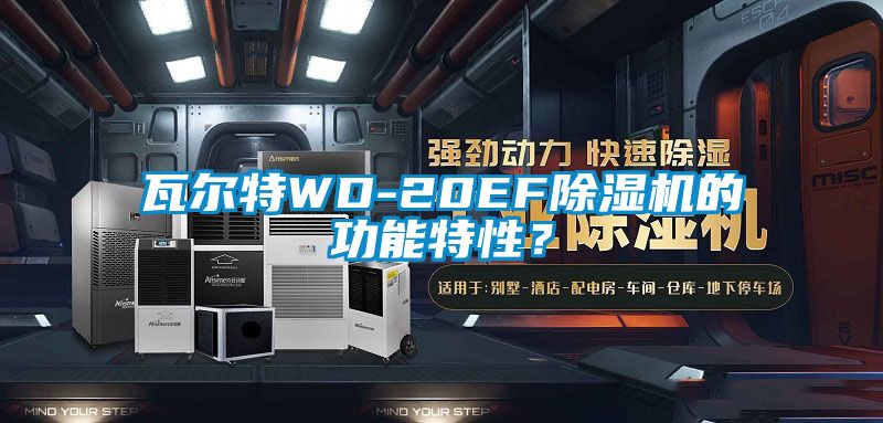 瓦爾特WD-20EF除濕機的功能特性？