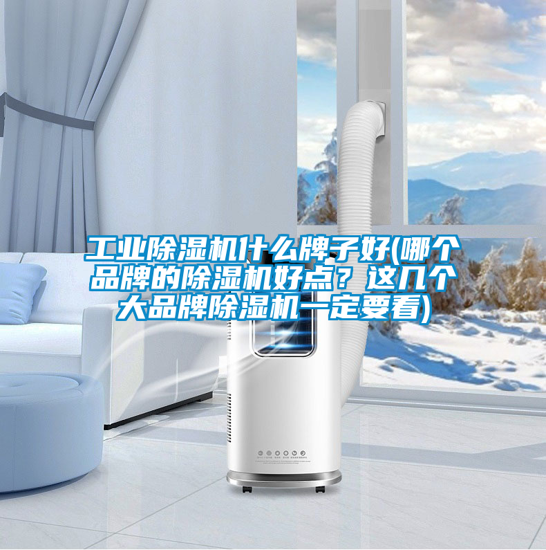 工業(yè)除濕機什么牌子好(哪個品牌的除濕機好點？這幾個大品牌除濕機一定要看)