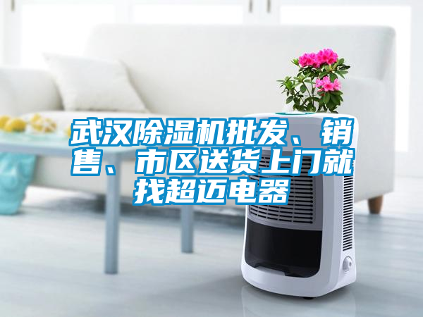 武漢除濕機(jī)批發(fā)、銷售、市區(qū)送貨上門就找超邁電器