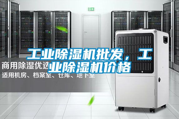 工業(yè)除濕機(jī)批發(fā)，工業(yè)除濕機(jī)價(jià)格