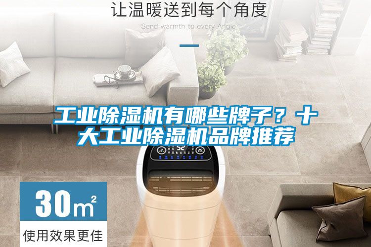 工業(yè)除濕機(jī)有哪些牌子？十大工業(yè)除濕機(jī)品牌推薦