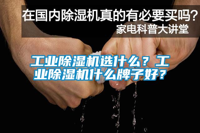 工業(yè)除濕機(jī)選什么？工業(yè)除濕機(jī)什么牌子好？