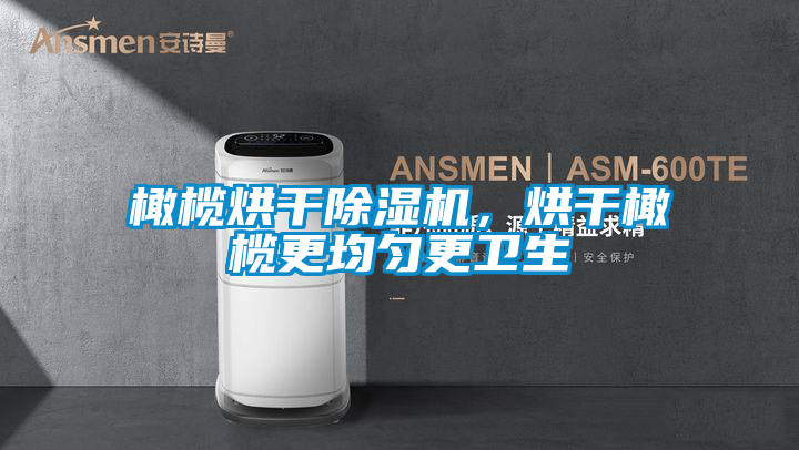 橄欖烘干除濕機(jī)，烘干橄欖更均勻更衛(wèi)生