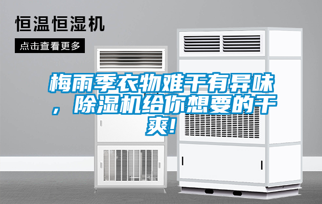 梅雨季衣物難干有異味，除濕機給你想要的干爽!