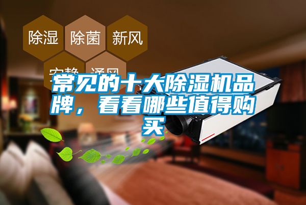 常見的十大除濕機品牌，看看哪些值得購買