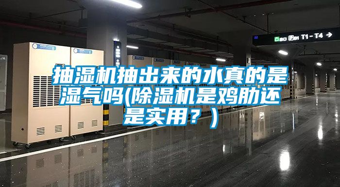 抽濕機(jī)抽出來的水真的是濕氣嗎(除濕機(jī)是雞肋還是實(shí)用？)