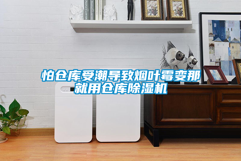 怕倉庫受潮導(dǎo)致煙葉霉變那就用倉庫除濕機