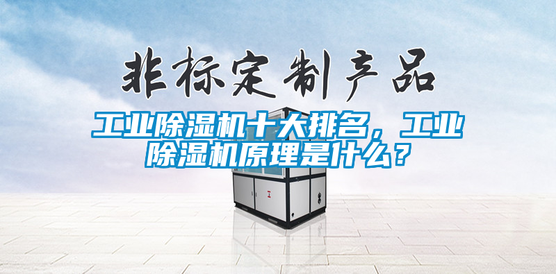 工業(yè)除濕機(jī)十大排名，工業(yè)除濕機(jī)原理是什么？