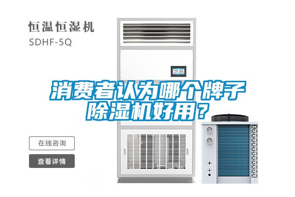 消費者認為哪個牌子除濕機好用？