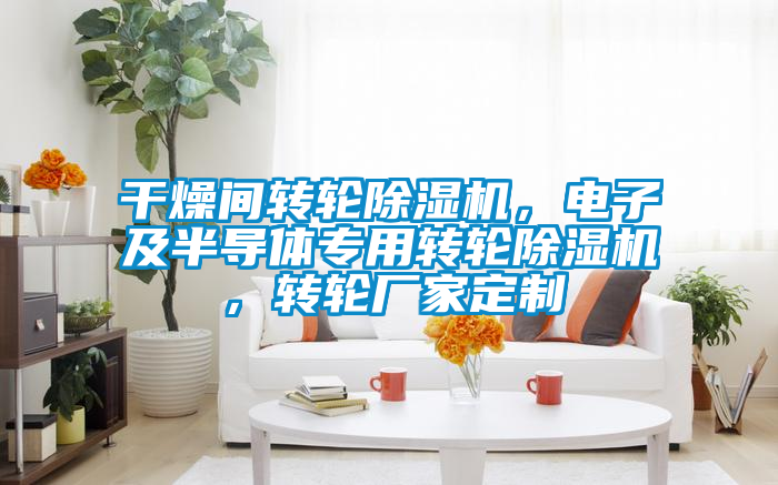 干燥間轉輪除濕機，電子及半導體專用轉輪除濕機，轉輪廠家定制
