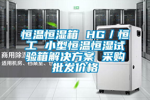 恒溫恒濕箱 HG／恒工 小型恒溫恒濕試驗(yàn)箱解決方案 采購批發(fā)價格