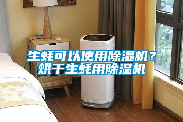 生蠔可以使用除濕機(jī)？烘干生蠔用除濕機(jī)