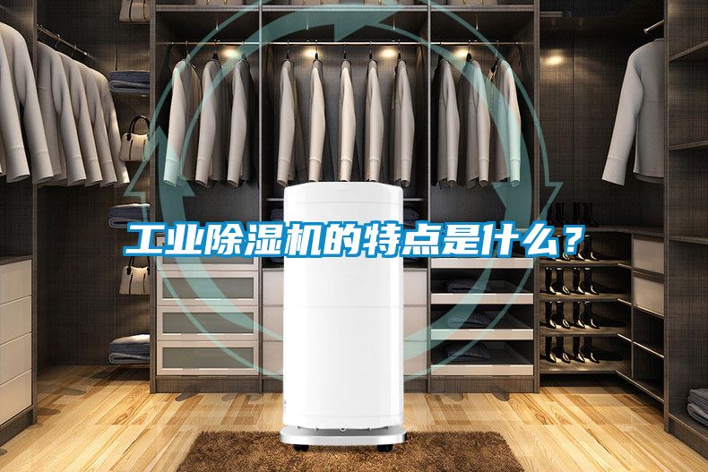 工業(yè)除濕機(jī)的特點是什么？