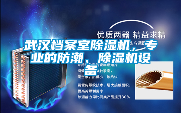 武漢檔案室除濕機，專業(yè)的防潮、除濕機設(shè)備