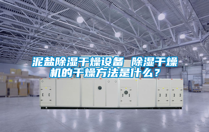 泥鹽除濕干燥設(shè)備 除濕干燥機(jī)的干燥方法是什么？