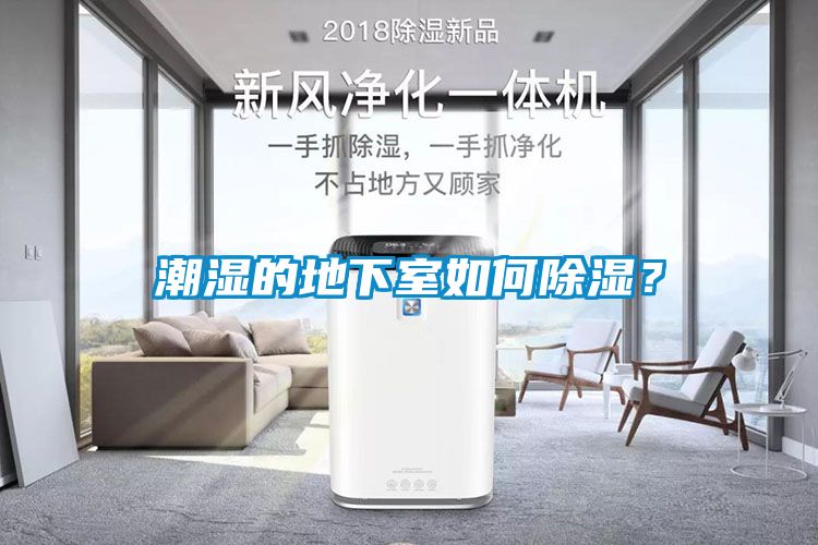 潮濕的地下室如何除濕？