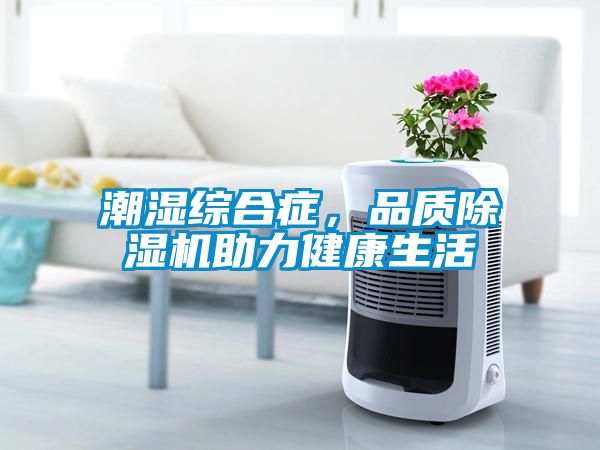 潮濕綜合癥，品質(zhì)除濕機(jī)助力健康生活