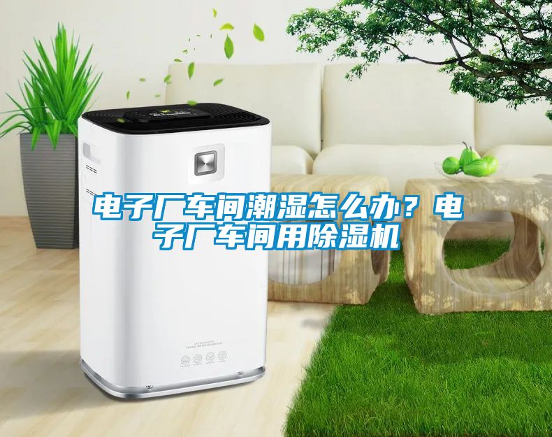 電子廠車間潮濕怎么辦？電子廠車間用除濕機