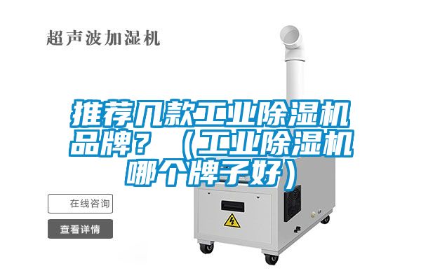 推薦幾款工業(yè)除濕機品牌？（工業(yè)除濕機哪個牌子好）