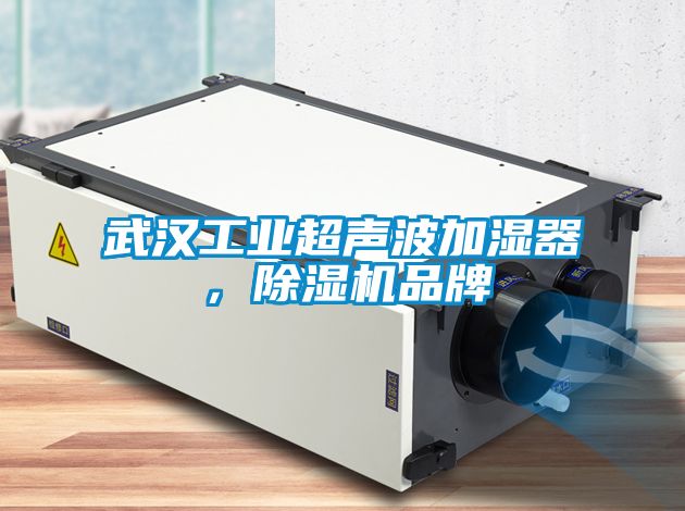 武漢工業(yè)超聲波加濕器，除濕機(jī)品牌