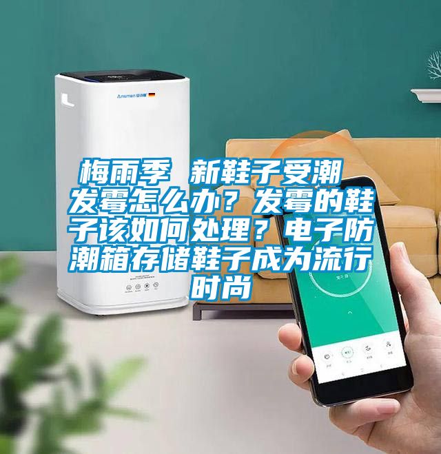 梅雨季 新鞋子受潮 發(fā)霉怎么辦？發(fā)霉的鞋子該如何處理？電子防潮箱存儲鞋子成為流行時尚