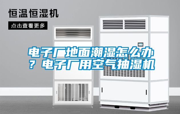 電子廠地面潮濕怎么辦？電子廠用空氣抽濕機(jī)