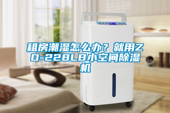 租房潮濕怎么辦？就用ZD-228LB小空間除濕機(jī)