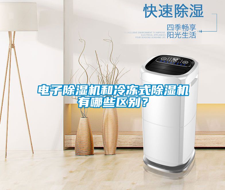 電子除濕機(jī)和冷凍式除濕機(jī)有哪些區(qū)別？