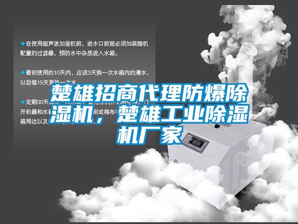 楚雄招商代理防爆除濕機，楚雄工業(yè)除濕機廠家