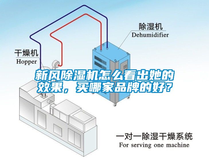 新風(fēng)除濕機(jī)怎么看出她的效果，買哪家品牌的好？