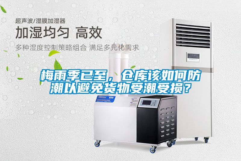 梅雨季已至，倉庫該如何防潮以避免貨物受潮受損？