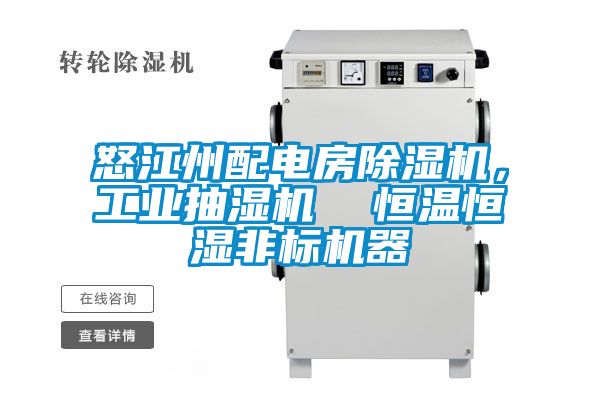 怒江州配電房除濕機，工業(yè)抽濕機  恒溫恒濕非標機器