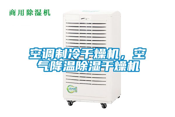 空調(diào)制冷干燥機(jī)，空氣降溫除濕干燥機(jī)