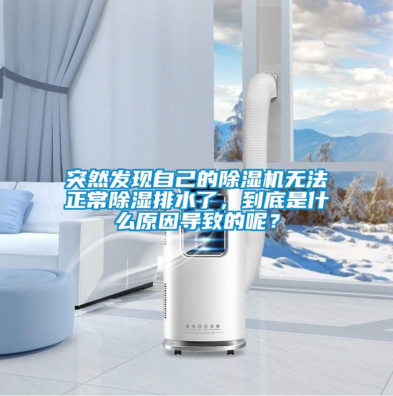 突然發(fā)現(xiàn)自己的除濕機(jī)無法正常除濕排水了，到底是什么原因?qū)е碌哪兀?></div>
								<div   id=