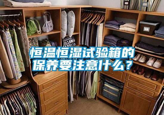 恒溫恒濕試驗箱的保養(yǎng)要注意什么？