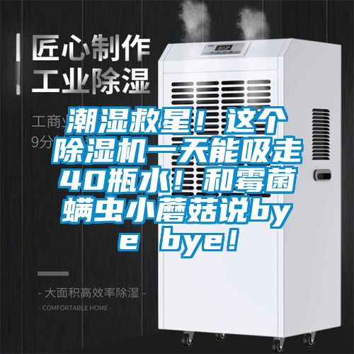 潮濕救星！這個除濕機(jī)一天能吸走40瓶水！和霉菌螨蟲小蘑菇說bye bye！