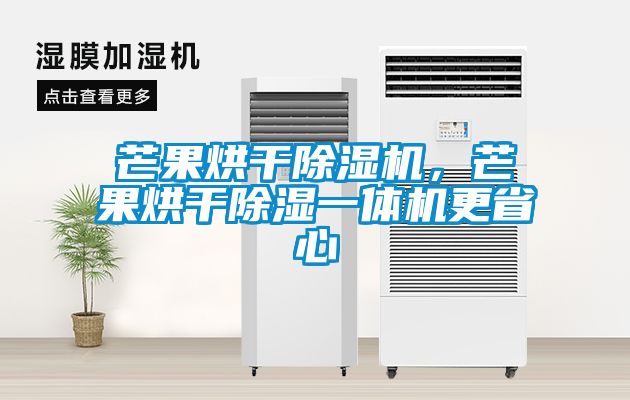 芒果烘干除濕機，芒果烘干除濕一體機更省心