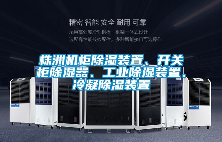 株洲機(jī)柜除濕裝置、開關(guān)柜除濕器、工業(yè)除濕裝置、冷凝除濕裝置