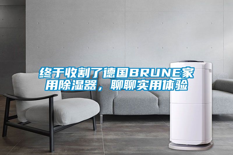終于收割了德國BRUNE家用除濕器，聊聊實用體驗