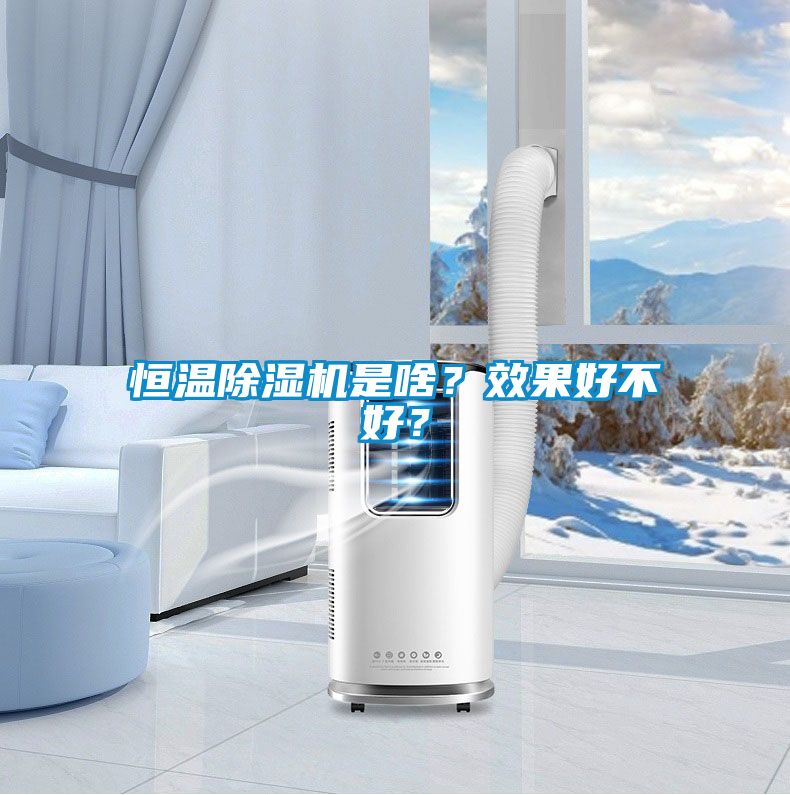 恒溫除濕機是啥？效果好不好？