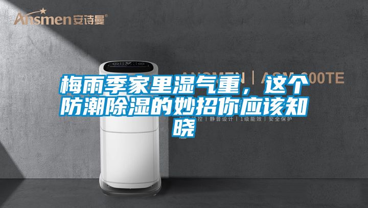 梅雨季家里濕氣重，這個防潮除濕的妙招你應(yīng)該知曉