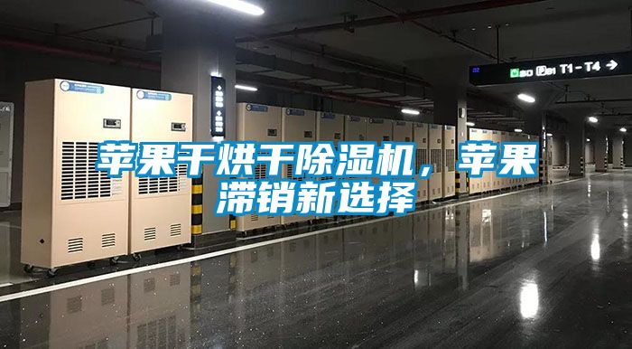 蘋果干烘干除濕機(jī)，蘋果滯銷新選擇