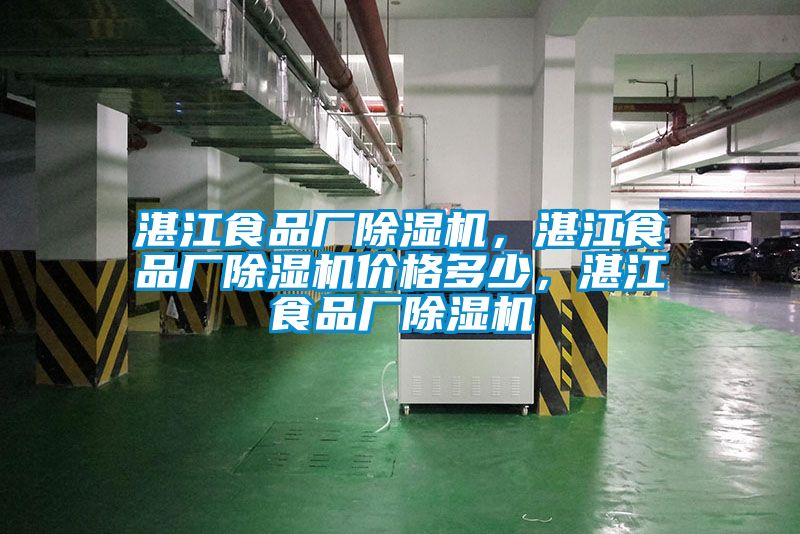 湛江食品廠除濕機，湛江食品廠除濕機價格多少，湛江食品廠除濕機