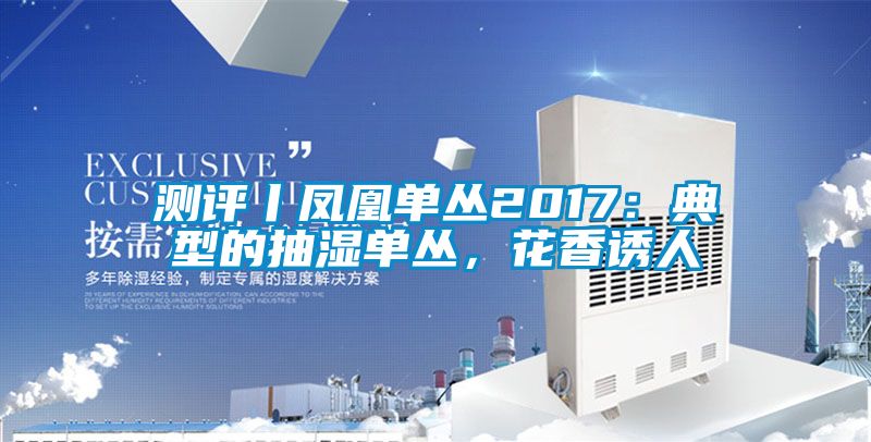 測評丨鳳凰單叢2017：典型的抽濕單叢，花香誘人